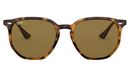 ray-ban-rb4306l-tartaruga-710-73-54-1