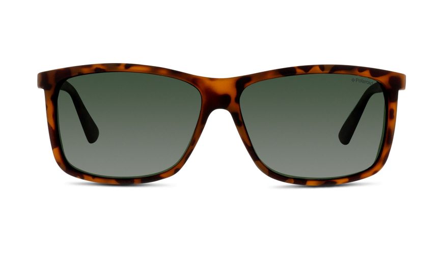 762753199379-front-01-Polaroid-p8346-eyewear-havana-copy
