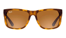 rayban
