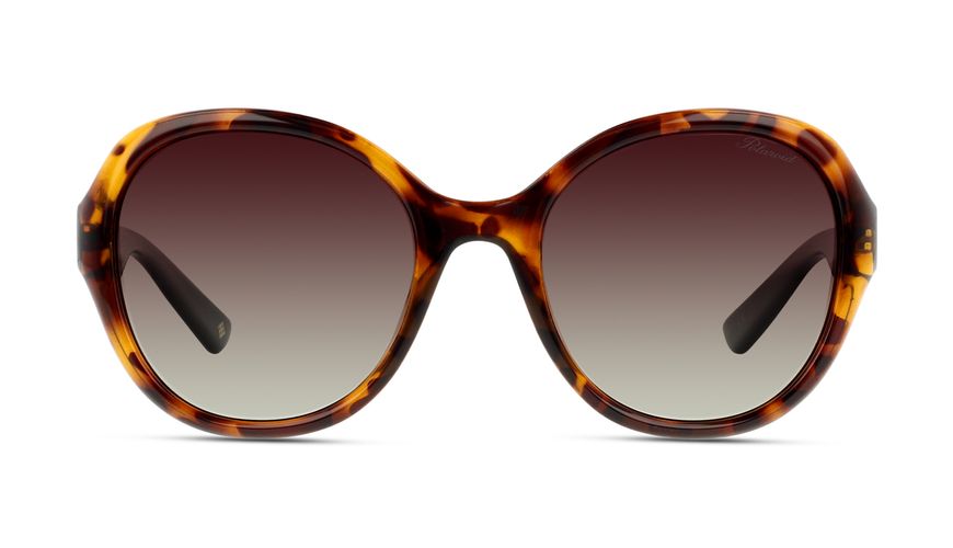 716736085326-front-01-polaroid-pld_4073_s-Eyewear-dkhavana-d