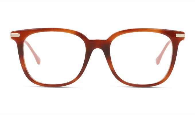 8056376366679-front-01-gucci-gg0968o-eyewear-havana-gold-transparent-copiar