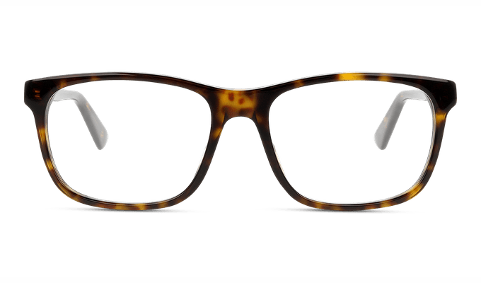8056376227529-front-01-Gucci-gg0490o-eyewear-havana-havana-transparent-copiar