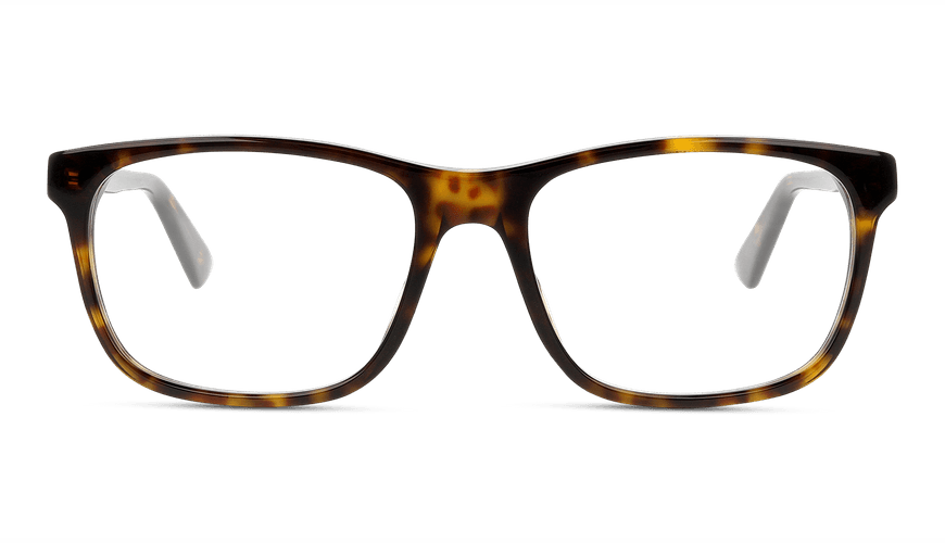 8056376227529-front-01-Gucci-gg0490o-eyewear-havana-havana-transparent-copiar 8056376227529-front-01-Gucci-gg0490o-eyewear-havana-havana-transparent-copiar