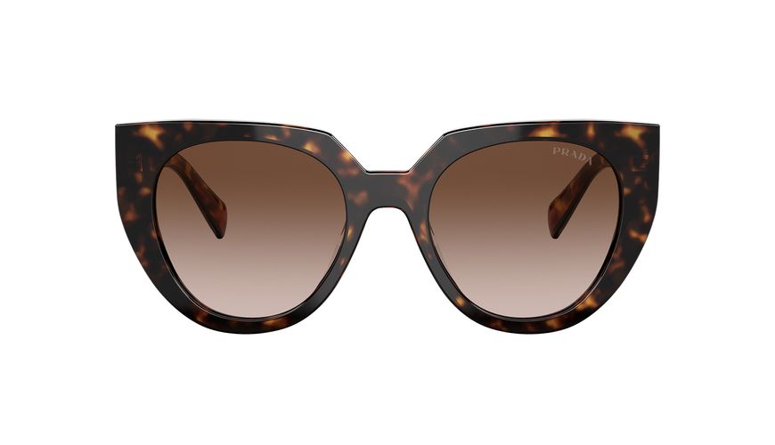 0PR_14WS__2AU6S1__STD__noshad__fr 0PR_14WS__2AU6S1__STD__noshad__fr