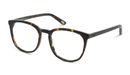 8719154722264-angle-03-dbyd-dbof0042-eyewear-havana-havana 8719154722264-angle-03-dbyd-dbof0042-eyewear-havana-havana