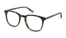 8719154722233-angle-03-dbyd-dbom0035-eyewear-havana-havana