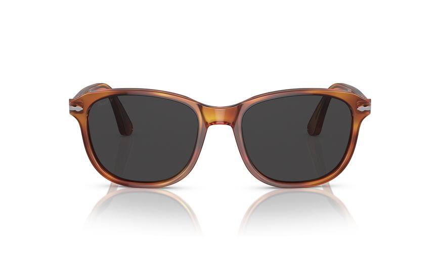 0PO1935S__96_48__P21__shad__fr 0PO1935S__96_48__P21__shad__fr