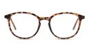 8719154723582-front-01-seen-snof5003-eyewear-havana-havana