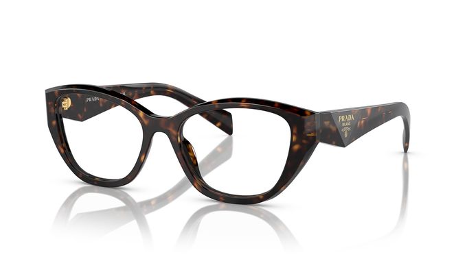 0PR_21ZV__19J1O1__P21__shad__qt