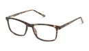 8719154727191-angle-03-seen-snot0005-eyewear-havana-havana