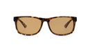 8719154733536-front-01-dbyd-dbsm9009p-eyewear-havana-havana 8719154733536-front-01-dbyd-dbsm9009p-eyewear-havana-havana