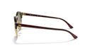 0RB4246__990_58__STD__shad__lt