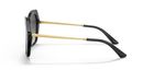0DG4399__501_8G__STD__shad__lt