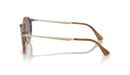 0PO3166S__960_56__P21__shad__lt