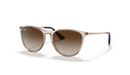 0RJ9060S__710813__STD__shad__qt