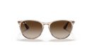 0RJ9060S__710813__STD__shad__fr