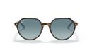 0RB2195__13163M__STD__shad__fr