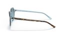 0RB2195__13163M__STD__shad__lt