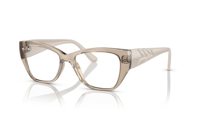 0VO5483__2990__P21__shad__qt