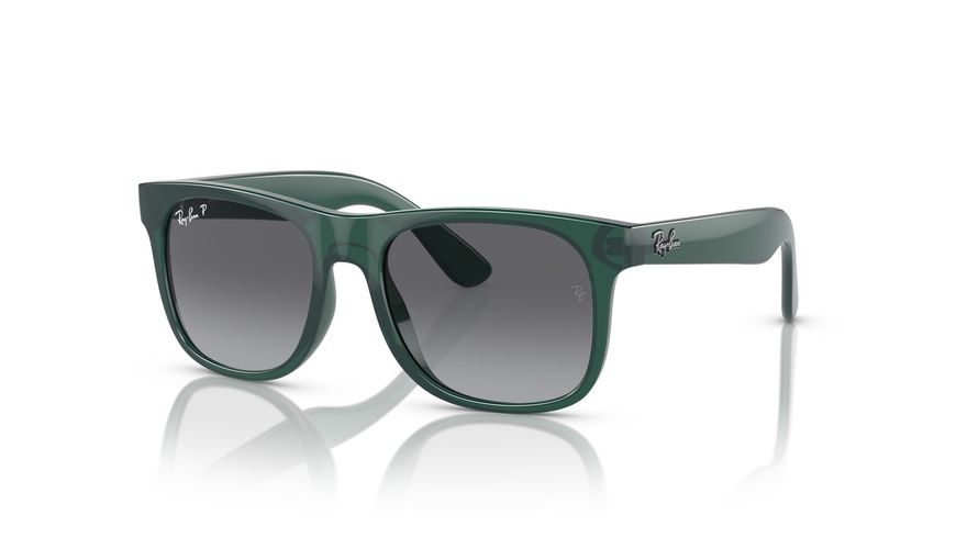 0RJ9069S__7130T3__P21__shad__qt 0RJ9069S__7130T3__P21__shad__qt