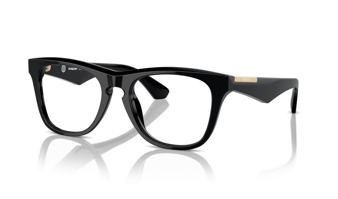 0BE2409__3001__P21__shad__qt