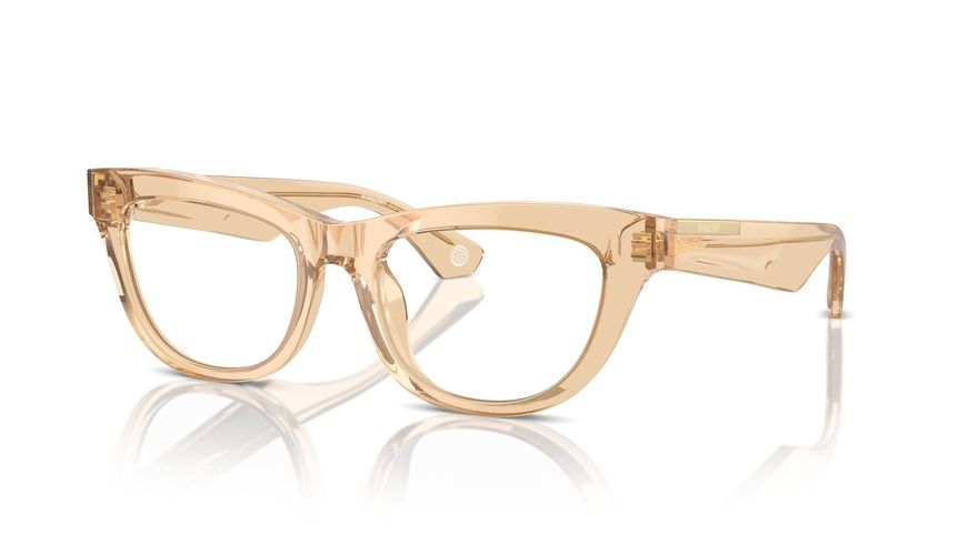 0BE2406U__4063__P21__shad__qt 0BE2406U__4063__P21__shad__qt