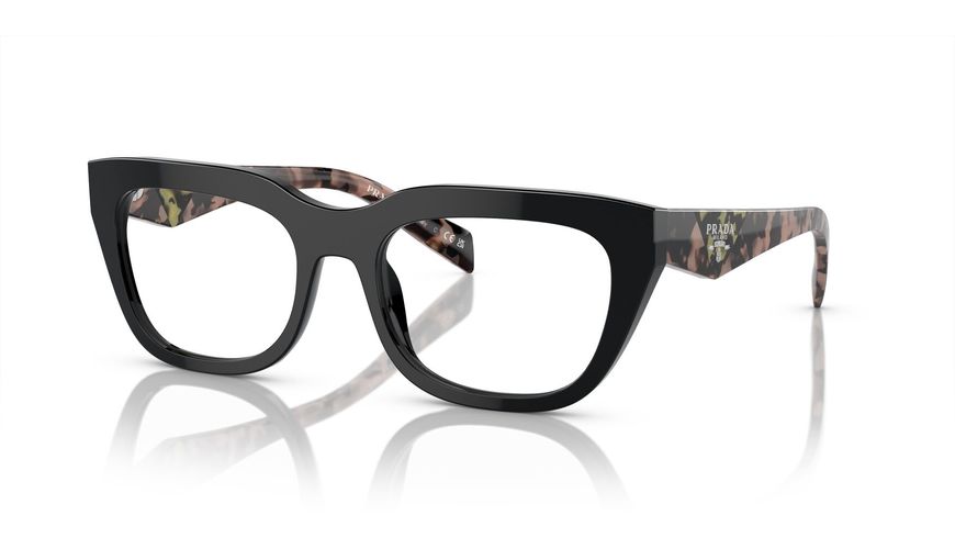 0PR_A06V__13P1O1__P21__shad__qt 0PR_A06V__13P1O1__P21__shad__qt