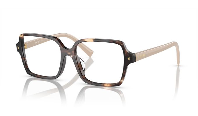 0PR_A02V__07R1O1__P21__shad__qt