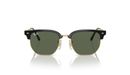 0RJ9116S__100_71__P21__shad__fr