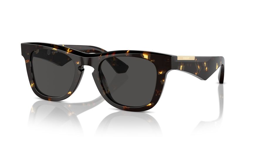 0BE4426__410687__P21__shad__qt 0BE4426__410687__P21__shad__qt