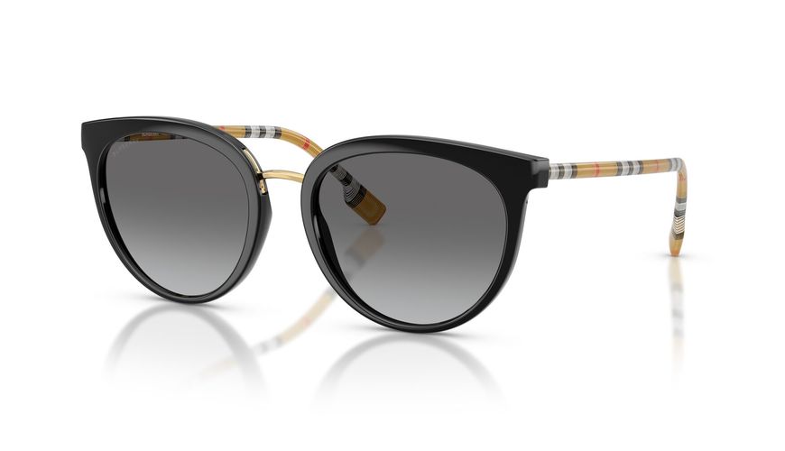 0BE4316__385311__P21__shad__qt 0BE4316__385311__P21__shad__qt