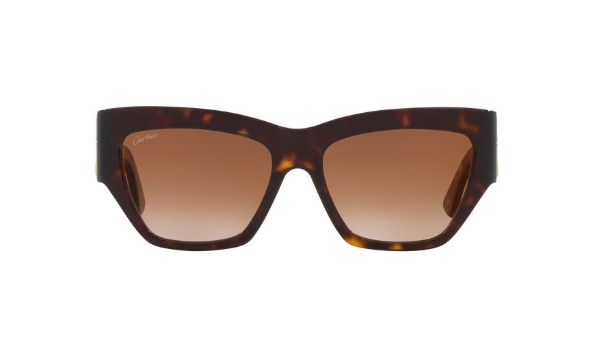 06L001695__4402D1_000A 06L001695__4402D1_000A