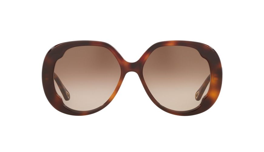 06N000509__4402D1_000A 06N000509__4402D1_000A