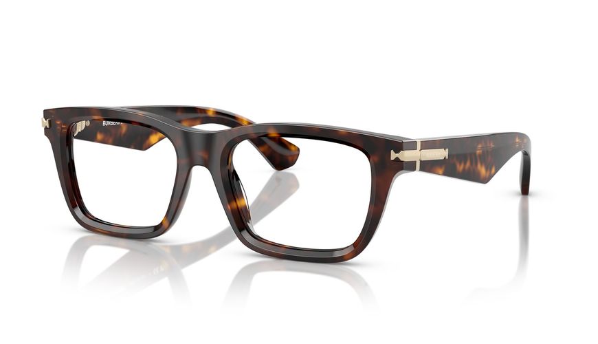 0BE2419__3002__P21__shad__qt 0BE2419__3002__P21__shad__qt