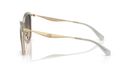 0HC7170__945018__P21__shad__lt