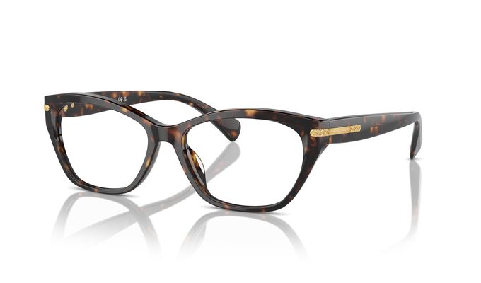 0RA7161U__5003__P21__shad__qt