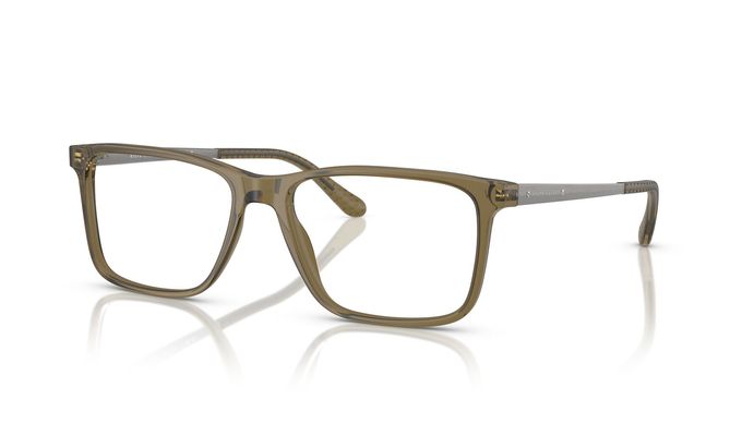 0RL6133__5854__P21__shad__qt