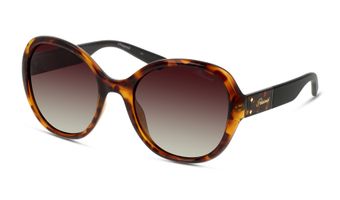 716736085326-angle-03-polaroid-pld_4073_s-Eyewear-dkhavana-d